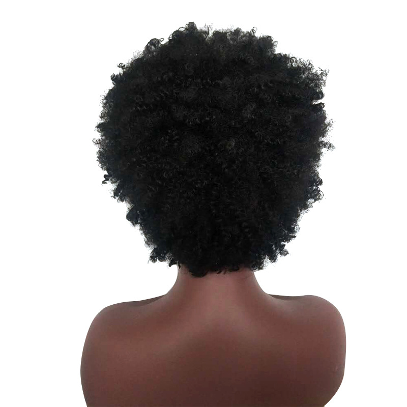 New African Wig Hair European American Wig Women's Short Curly Hair Head Cover Wigs