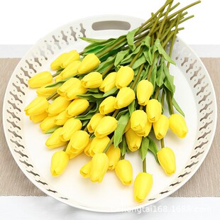 PU�ָ������֧������Ҿ��b���������滨�����������羳�ٻ�