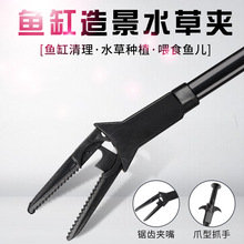 �~��ˮ�݊A�ݸ׹���ˮ��ֲ��A���ϊA������Q���~��ˮ�ݹ���