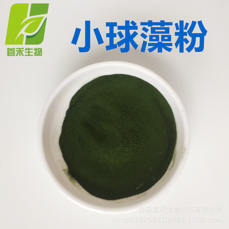 小球藻粉  破壁小球藻粉  绿藻粉另有小球藻生长因子