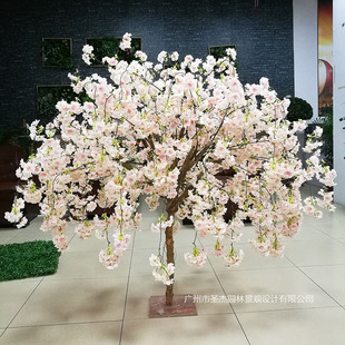 ���洹���ѻ����҃���Ƶ��c�b���ѻ��[��С������滨��