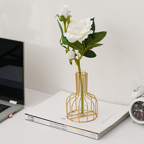 ins style Nordic transparent glass vase ornaments home creative simple living room dry flower flower arrangement decoration wholesale