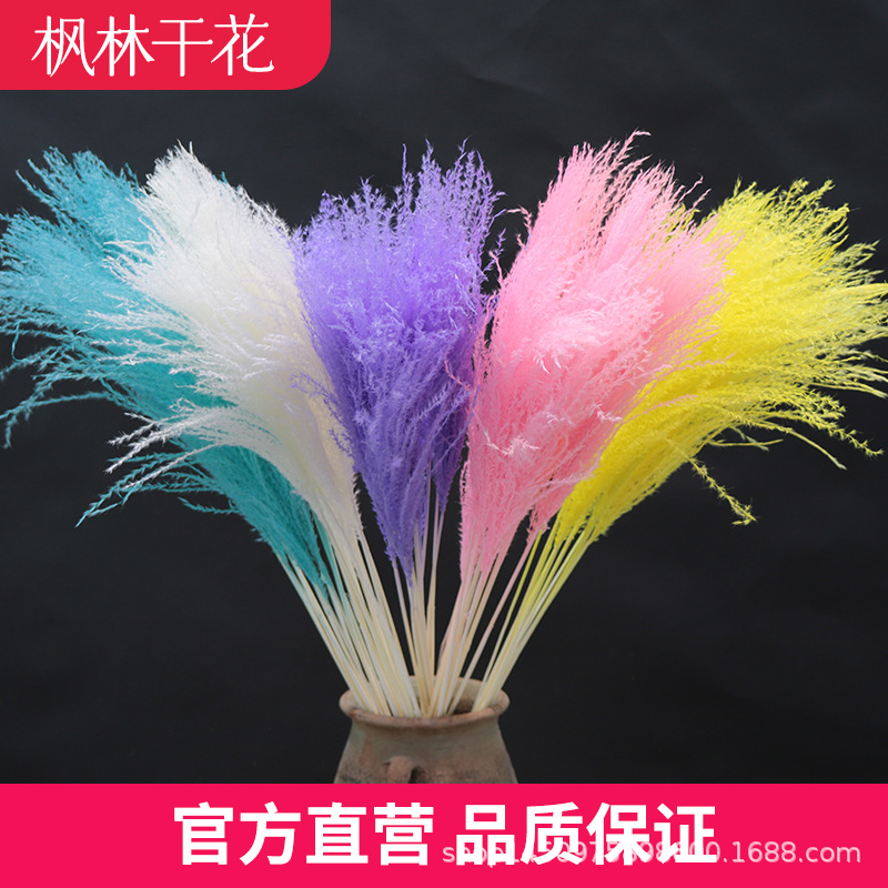 Fangchen and dry flower bouquet wedding venue layout reed Puwei real…