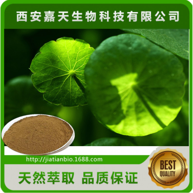 金钱草提取物 10：1水溶性金钱草粉 醇提金钱草提取物粉 多种规格