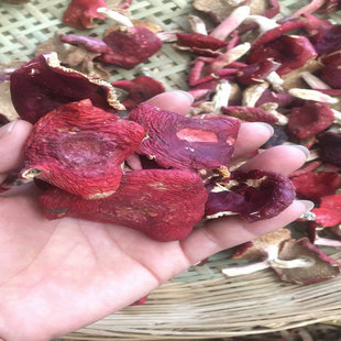 �t�� ��t�� ��ϼt�� �tĢ�� ���خaʳ�þ����l��ɽ�t�����tϵ��