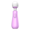 Purple roly-poly doll