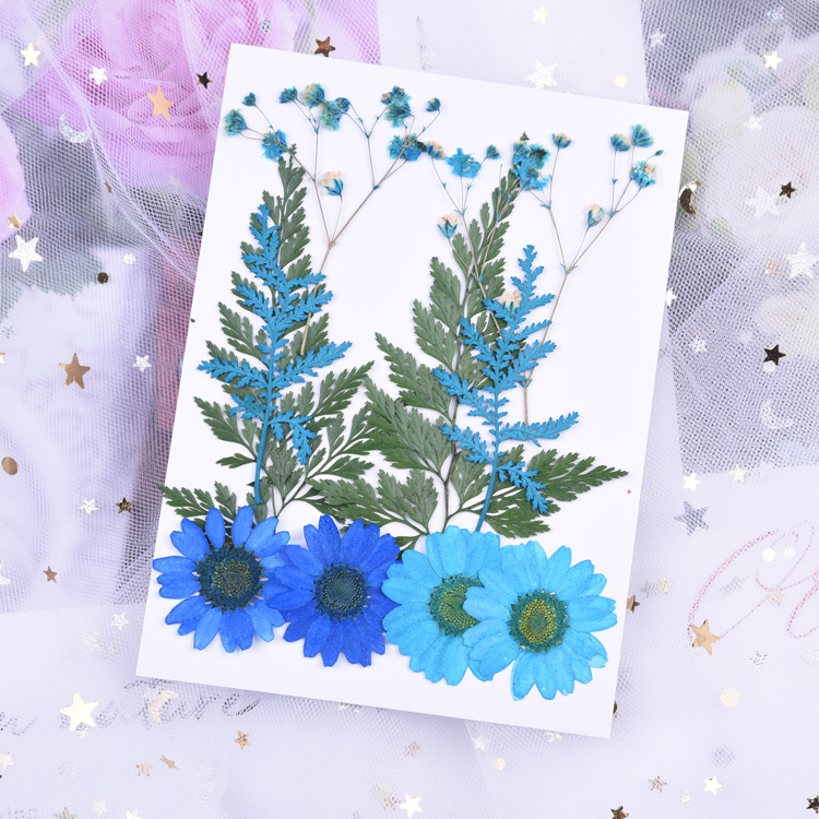 푸른 꽃 세트 (5 꽃, 10)