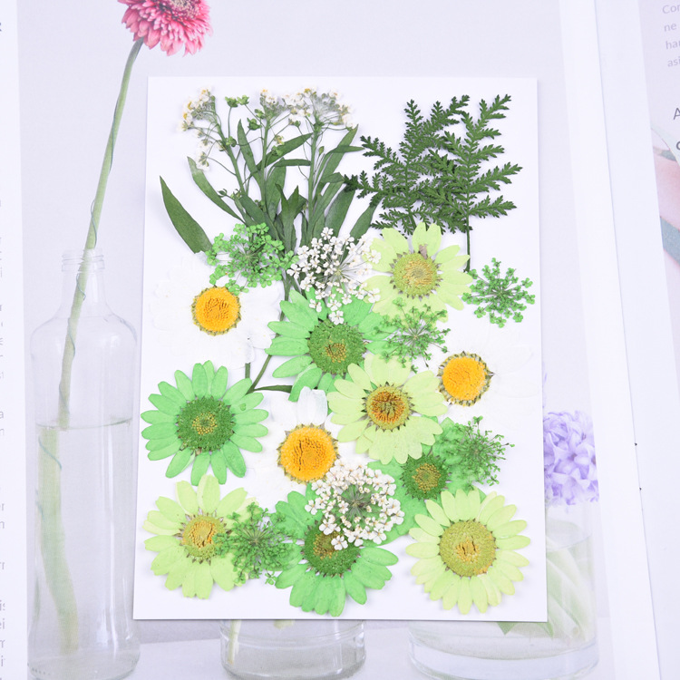 G (꽃 7 개, 합계 23 개)