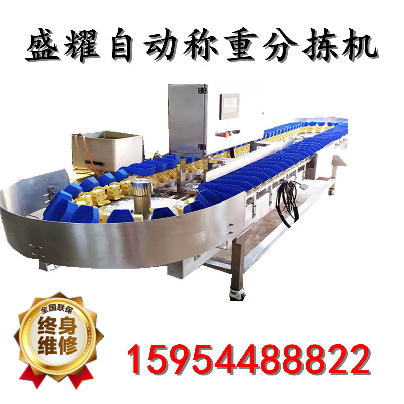 全自动小龙虾分选机 自动重量分选机厂家直供 鲈鱼在线称重分拣机