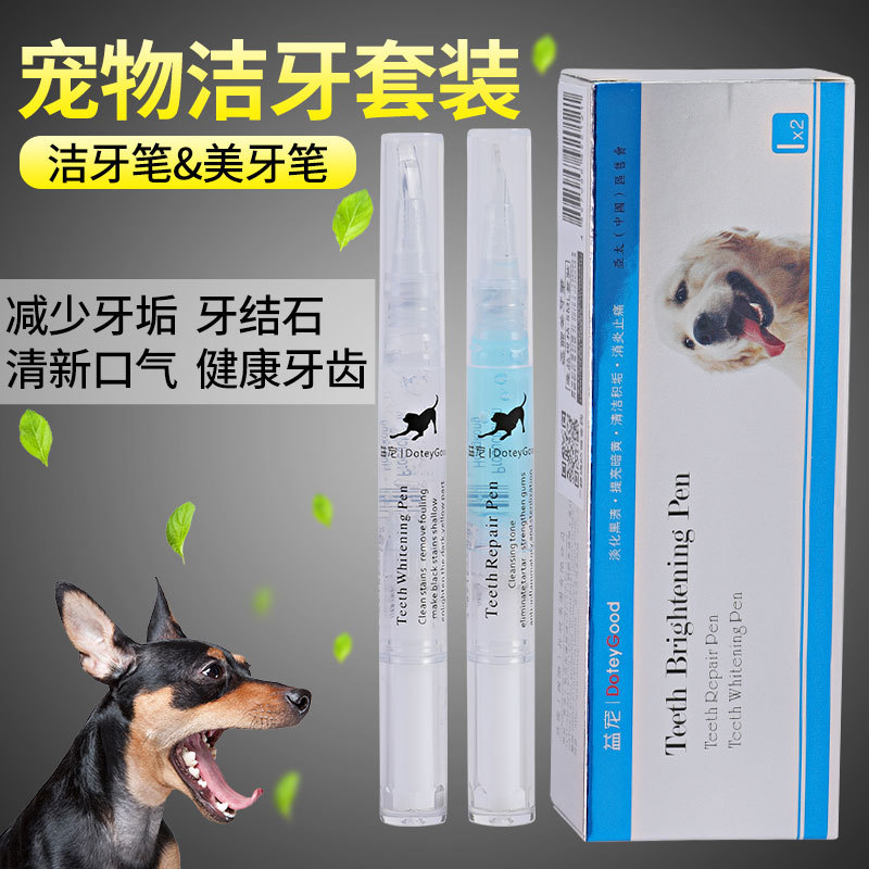 Dientes de mascota pluma perro gato tartar diente piedra herramienta gato perro mascota diente limpieza pluma en stock suministros de limpieza