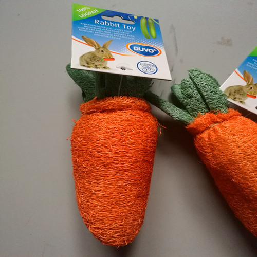 Natural loofah radish pet toothbrush pet oral hygiene pet supplies dental care pet toy