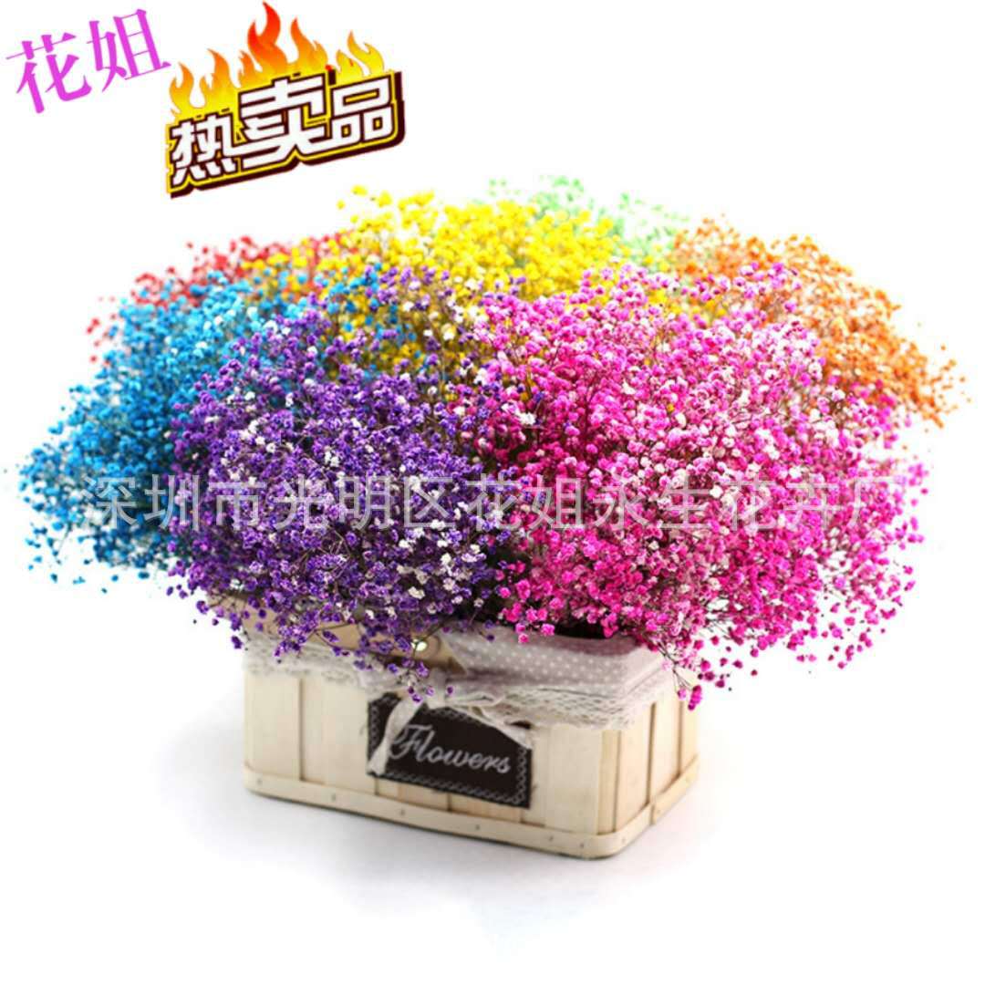 永生满天星云南百万星花束diy永生花国庆节礼物家居装饰花|ru