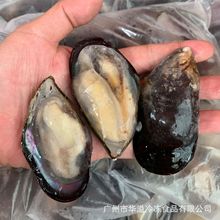 ڿؐ 뚤ؐ 20/5؛ lʳİ뚤ڿؐ