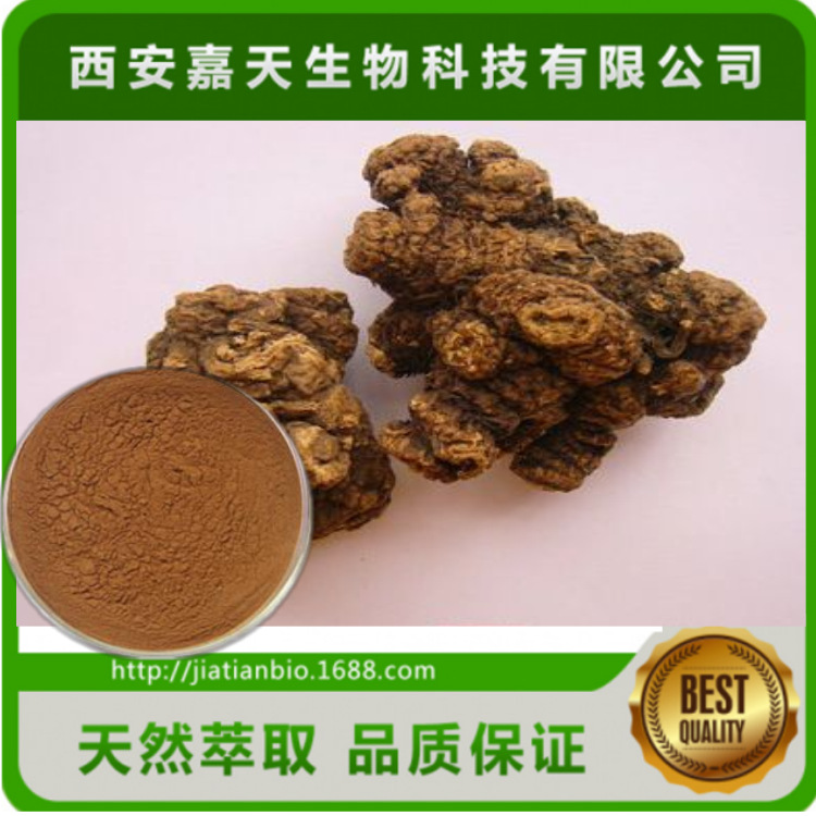 源头厂家 升麻提取物 10：1 总状升麻根提取物 现货批发 多种规格