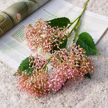 ���滨��ݮ 3�^��ݮ�� �ٻ��ҾӔ[����c�zӰ�Ӱ巿ܛ�b�OӋ����