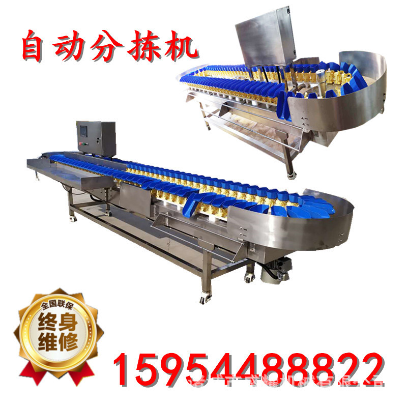 龙虾多级分拣机 厂家生产青虾重量分选机 海参鲍鱼自动分拣机