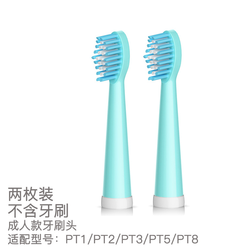 PT1/PT2/PT3/PT5/PT8 브러시 헤드 블루