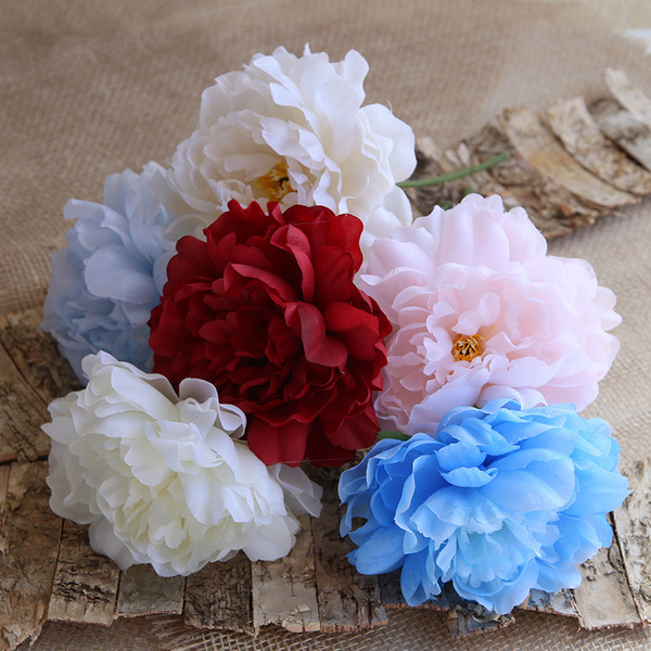 Aesthetic style 9 color small fresh diameter 15cm single French…