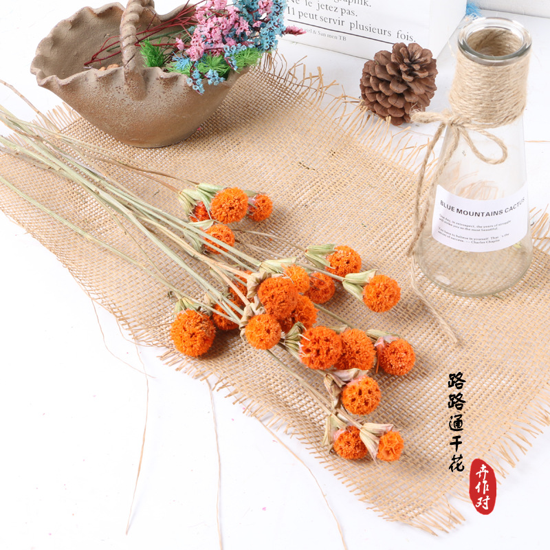 Luantong flor seca fruta de arce flor eterna fruta seca luantong decoración del hogar arte arreglo floral flor seca al por mayor