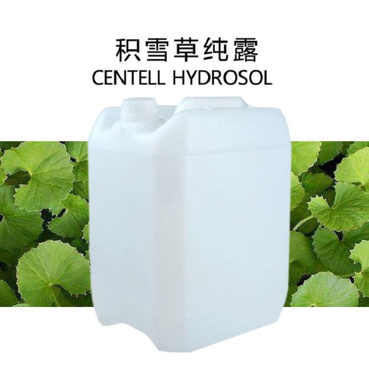 批发 积雪草纯露 饱和纯露 面膜 化妆品 原料