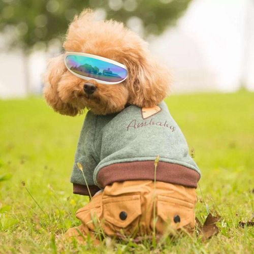 Pet glasses, dog accessories, protective goggles, waterproof, windproof, sun protection, UV protection, cat glasses, factory wholesale
