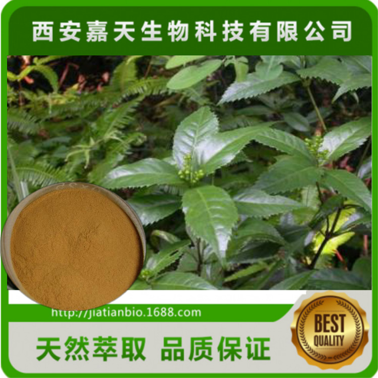 肿节风提取物 10：1优势供应 0.25%异嗪皮啶 多种规格 量大从优