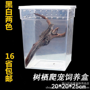 ֩��䗫��B������׃ɫ�����x�н޽��،m����������B����B��