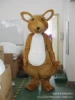 Ordinary kangaroo