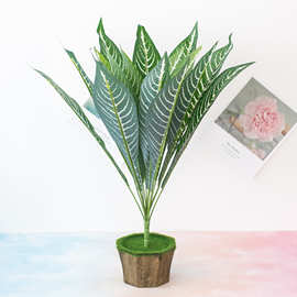 仿真树叶仿真植物墙 18头斑马叶 软装绿雕配件配材 户外工程专用