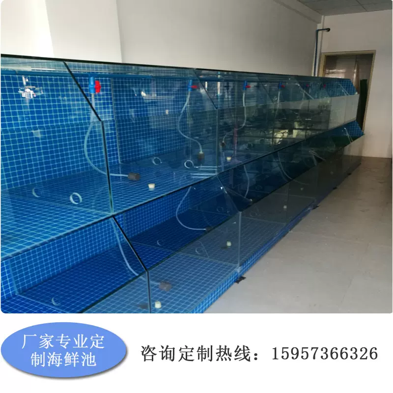 可定制商用水池饭店排缸大闸蟹缸移动生鲜超市鱼缸 海鲜工程缸