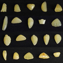 ��Ȼ������Ϟ�S�Θ��~Ԫ�������u���S����DIY���ֱ�����؛Դ��