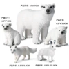Arctic animal (5 sets)