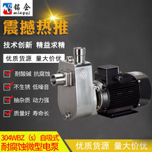 304材质全不锈钢WB(S)离心式耐腐蚀自吸泵 小型自吸式电泵整机1寸