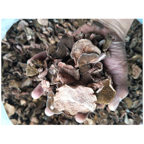 Yunnan specialty bulk red milk boletus dry goods boletus vegetarian hot pot dried mushrooms wholesale dropshipping