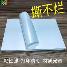 A4��ī�����z�˺��� PP�ϳɘ˺���ӡ�� ���yPET��ī�����z�˺���