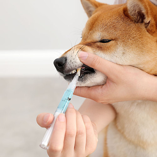 Pet Teeth Pen, Dog and Cat Tartar Tools, Cat and Dog Pet Teeth Pen, Cleaning Supplies