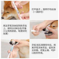 Cross-border Dog and Cat Dental Calculus Cleaning Set Pet Teeth Cleaning Pen Dog and Cat Pet Teeth Whitening Pen Teeth Cleaning Tool