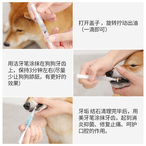 Cross-border Dog and Cat Dental Calculus Cleaning Set Pet Teeth Cleaning Pen Dog and Cat Pet Teeth Whitening Pen Teeth Cleaning Tool