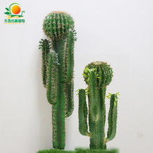 ���������������������k������ؼپGֲ�b������Ʒ���ֲ������