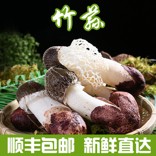 ����خa���r���p500gɢ�bʳ�þ����p�Ҝ�ʳ�Įa�����l�����r؛