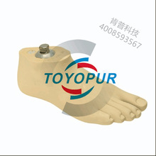 福建工厂 EPU人体假肢  PU发泡仿真人体