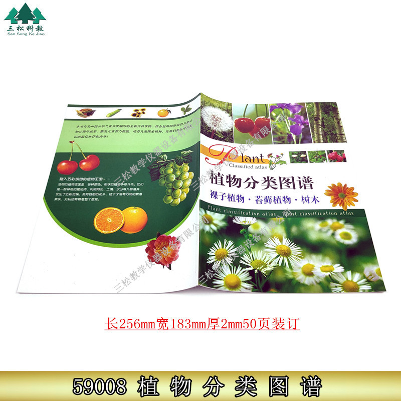 J59008植物分类图谱小学生物自然教学用挂图指导材料实验器材