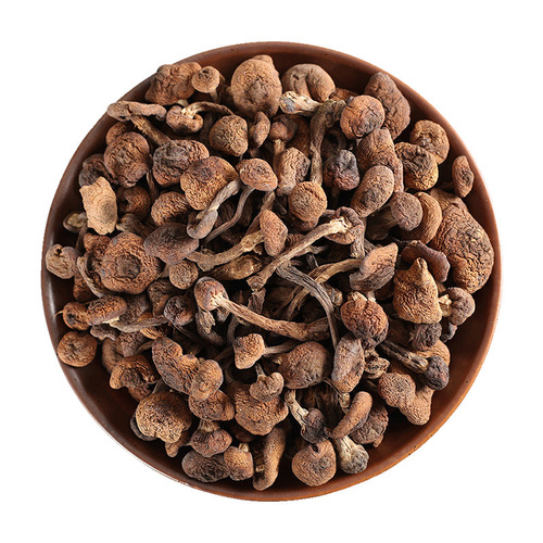 Changbai Mountain Amanita 500g Dry Premium Product, Great Value, One-Time Shipping for WeChat Merchants