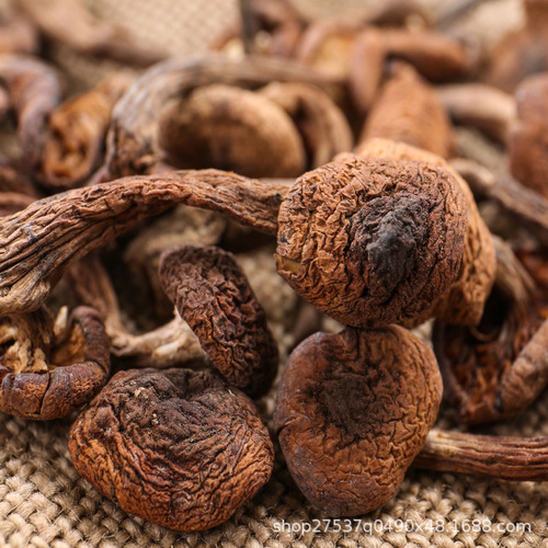 Changbai Mountain Amanita 500g Dry Premium Product, Great Value, One-Time Shipping for WeChat Merchants