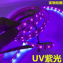 �͉�5050UV�Ϲ�� 60��ÿ�׵��z��ˮܛ���l ����nܛ�� �؃r