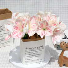 ���滨�� PU�����m���滨���� ��c�����ٻ��� ��ˮ��ˇ �m��