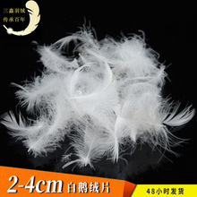 羽绒厂家批发水洗2-4cm白鹅绒鹅毛羽毛沙发羽丝绒纺织制品填充物
