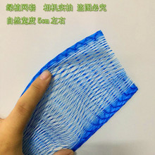 植物盆栽pe塑料保护网套发财树花卉绿植网套蓝色收缩网套