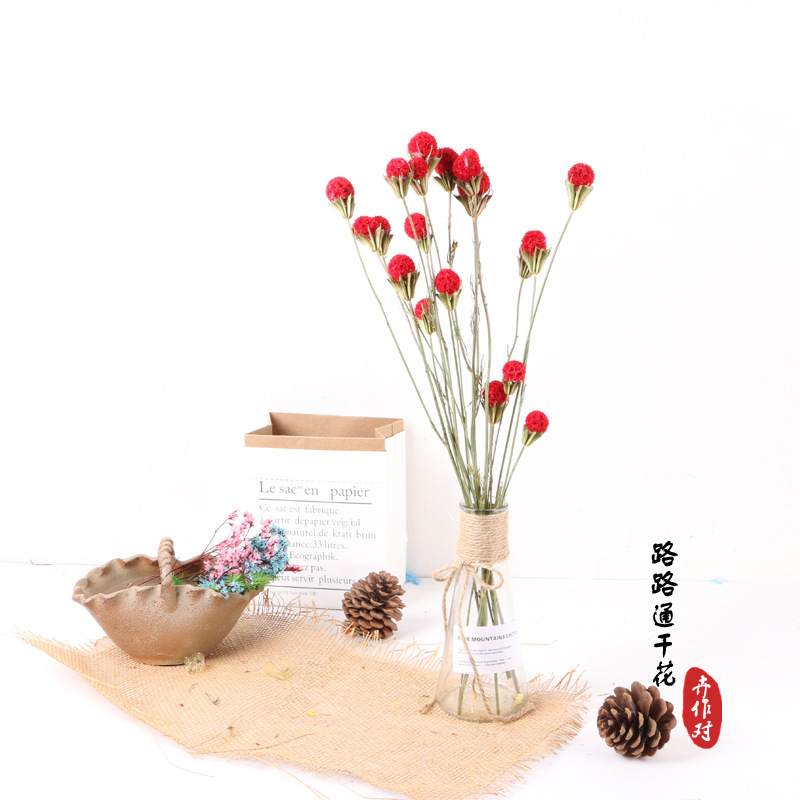 Luantong flor seca fruta de arce flor eterna fruta seca luantong decoración del hogar arte arreglo floral flor seca al por mayor