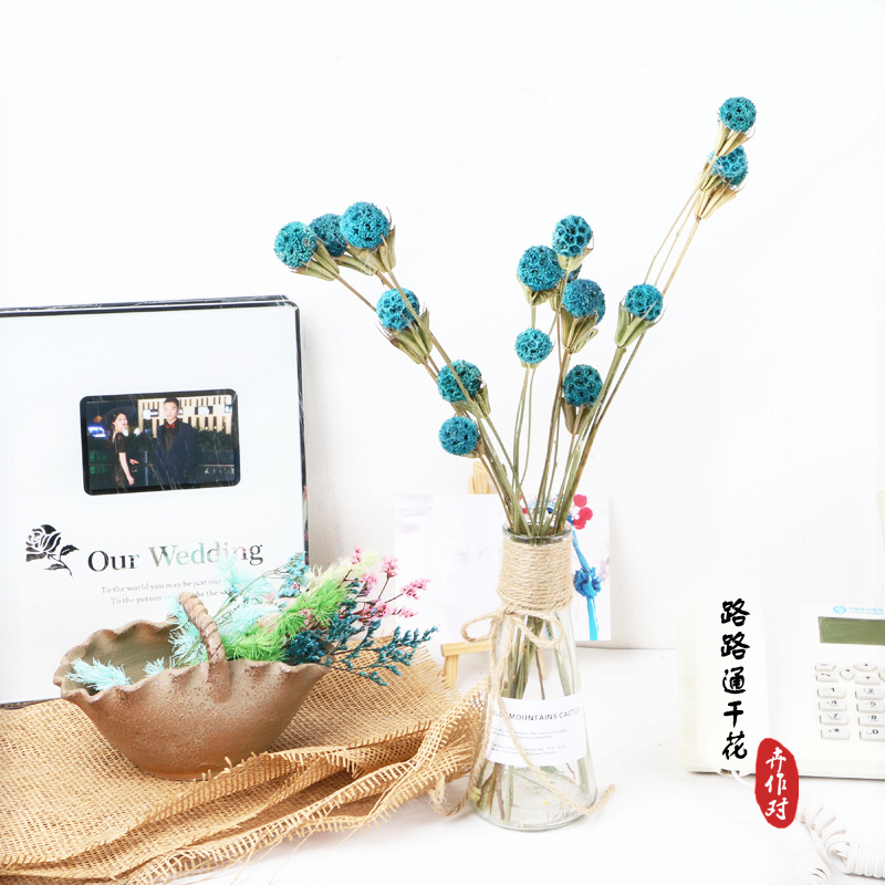 Luantong flor seca fruta de arce flor eterna fruta seca luantong decoración del hogar arte arreglo floral flor seca al por mayor